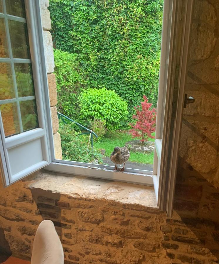 Le Moulin De La Beune Les Eyzies Zewnętrze zdjęcie